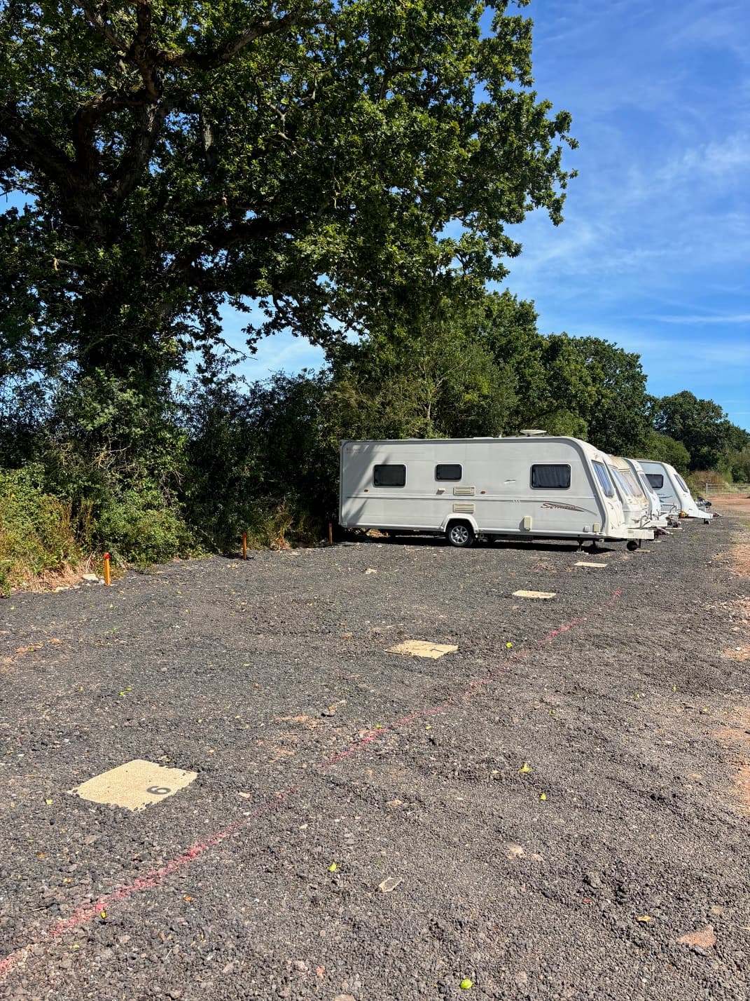 Caravan pitched on hardstanding beneath a mature oak tree